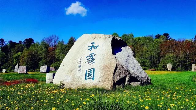 微信好友删除了怎么找回来 这几种办法帮你找回